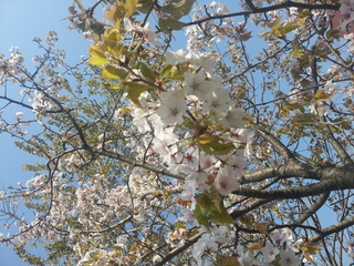 20130427_092123.jpg
