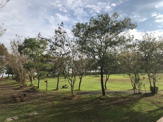 IMG_0608.jpg