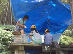 image3.JPG